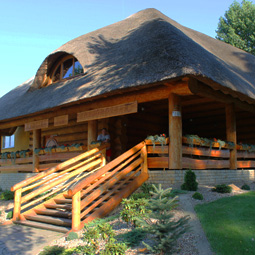 domy z bali z drewna oferta