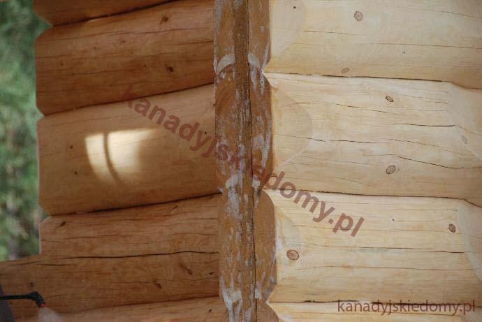 domy z bali zabepieczenie drewna